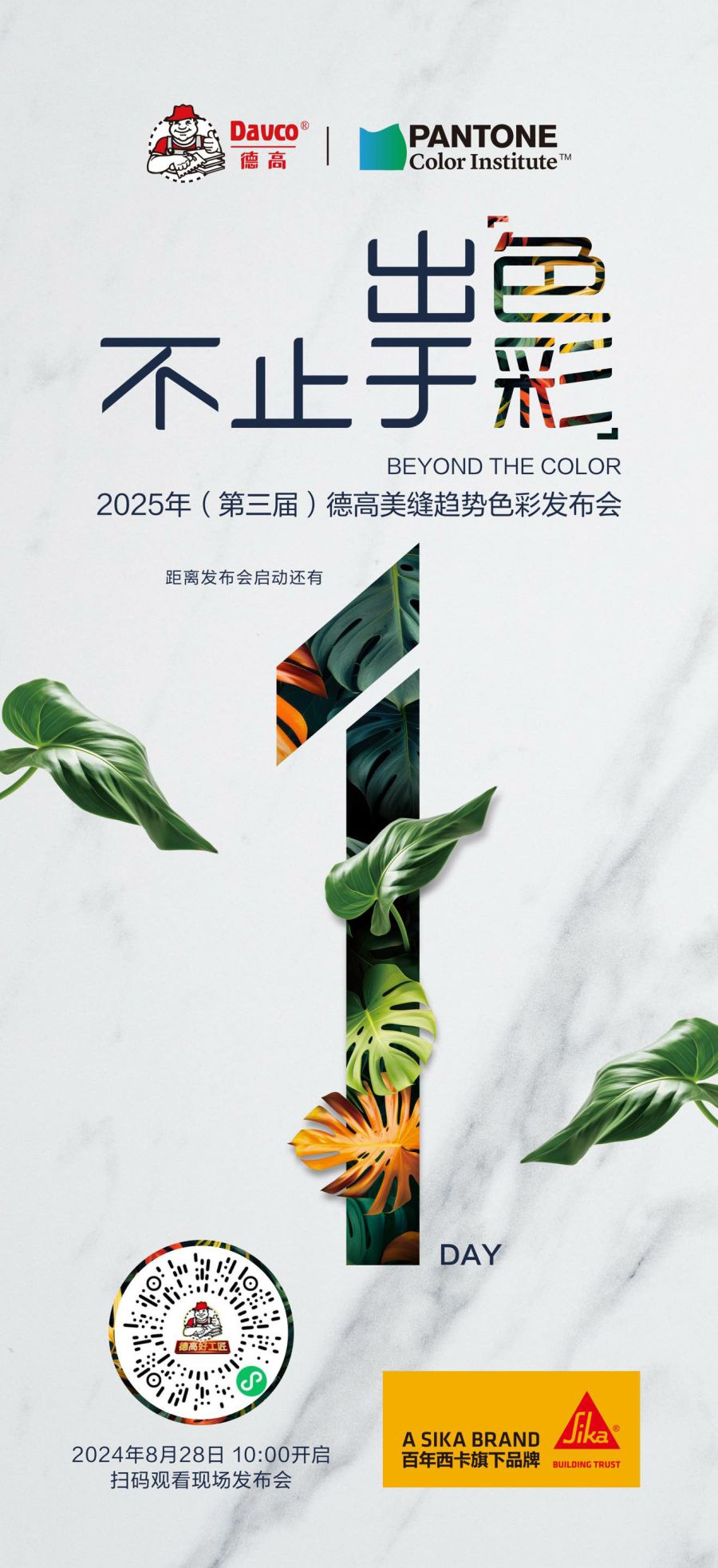 倒计时1天！精彩看点，提前知晓