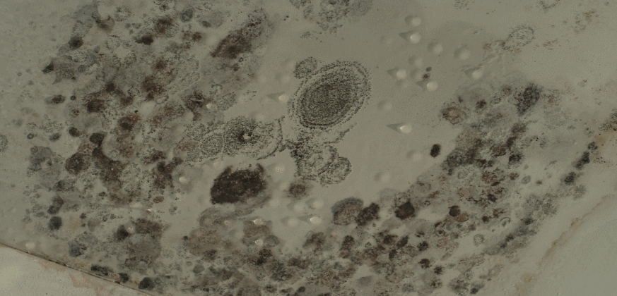 微信图片_20251112115416